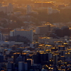 夕日の街