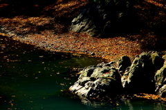 晩秋の流れ