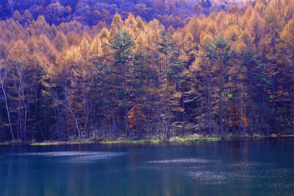 湖愁