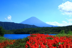 富士五湖めぐり・西湖