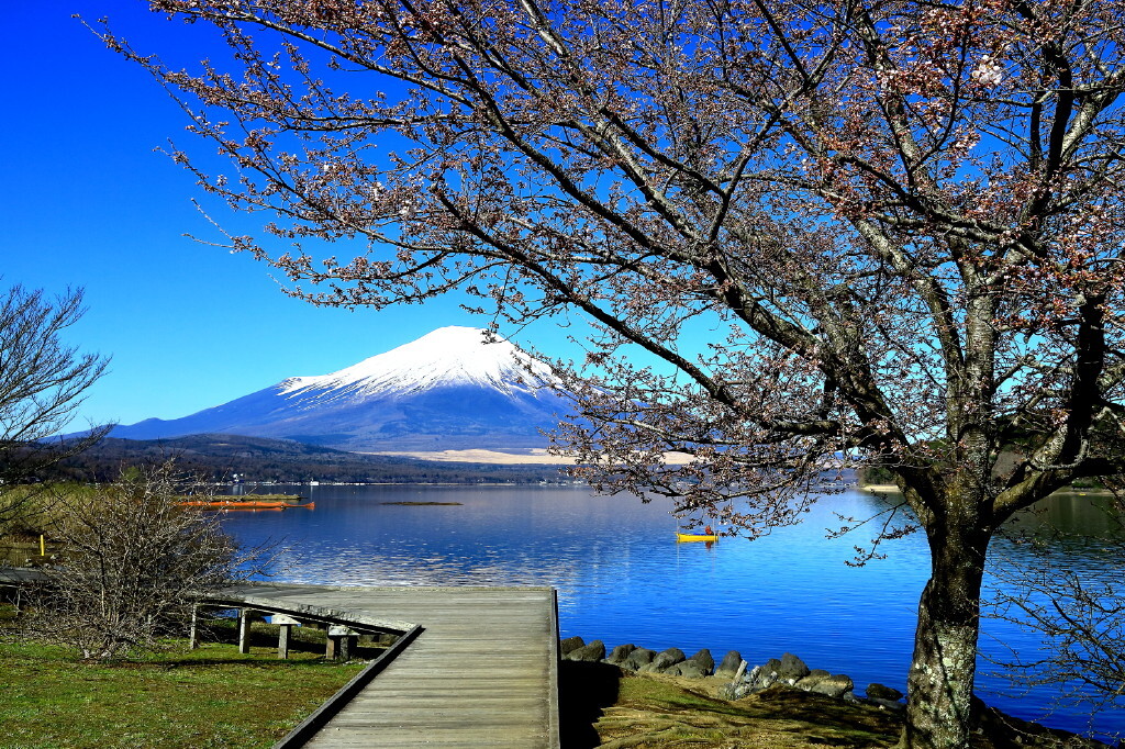 山中湖湖畔