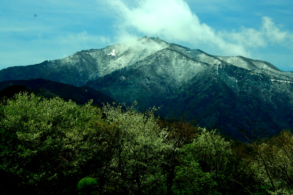 癒しの景色