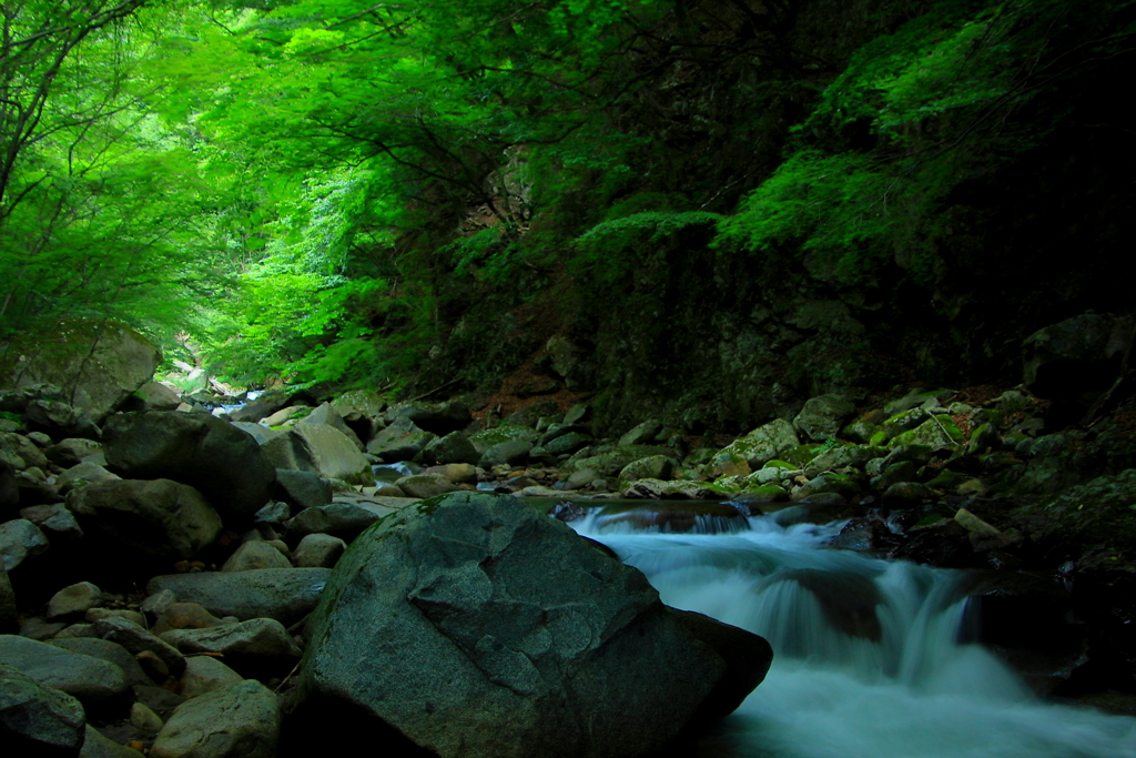 渓流の水音