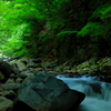 渓流の水音