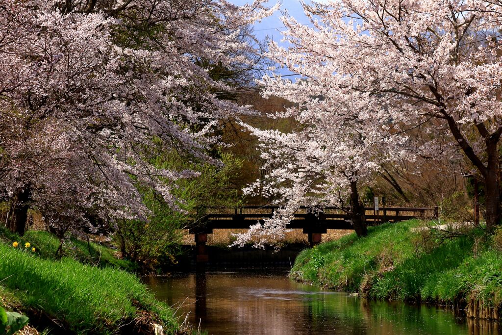 和の華やぎ