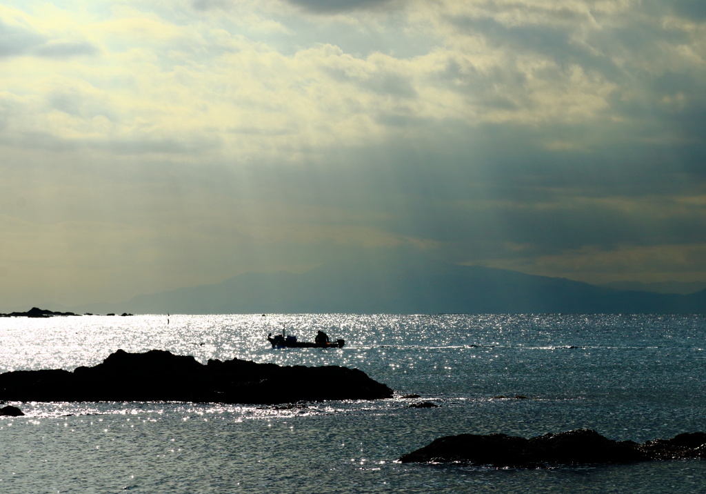 光る海