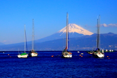 冬晴れの海