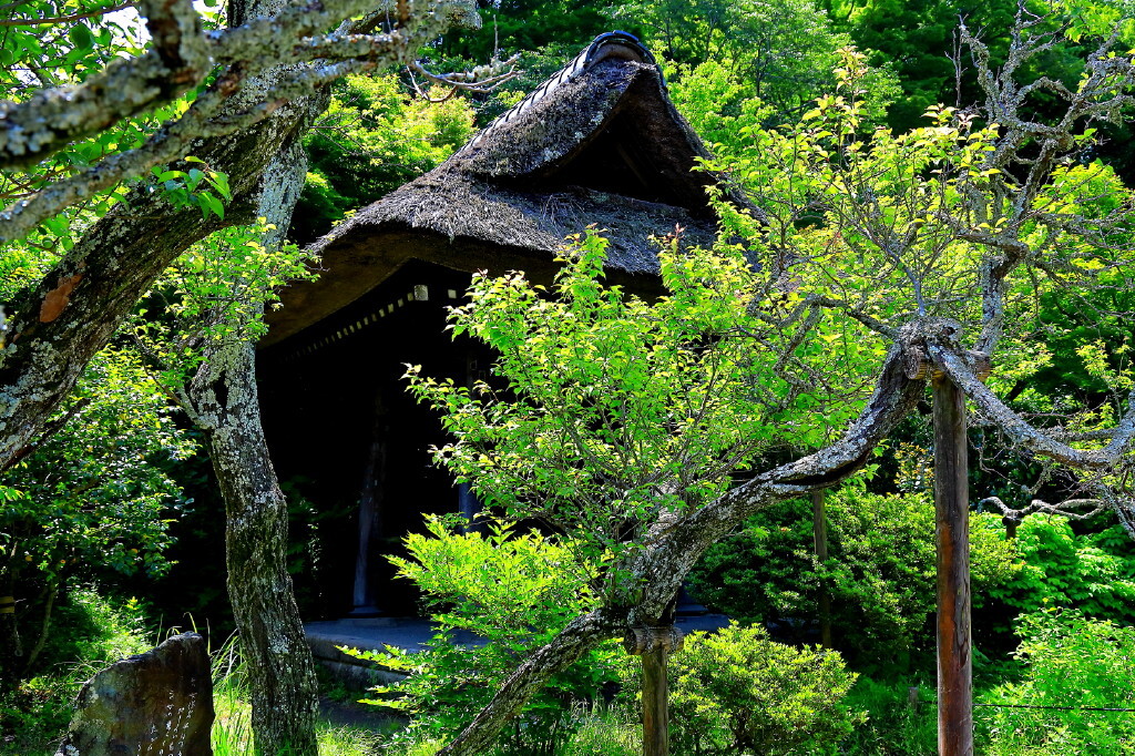 禅寺の館