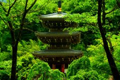 新緑の季節