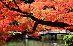 小春日和