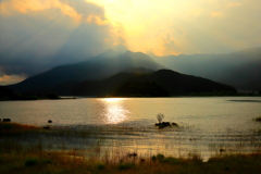 河口湖畔
