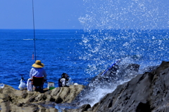 夏の海