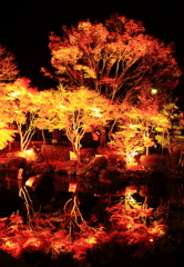 夜の饗宴