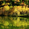 映された秋模様
