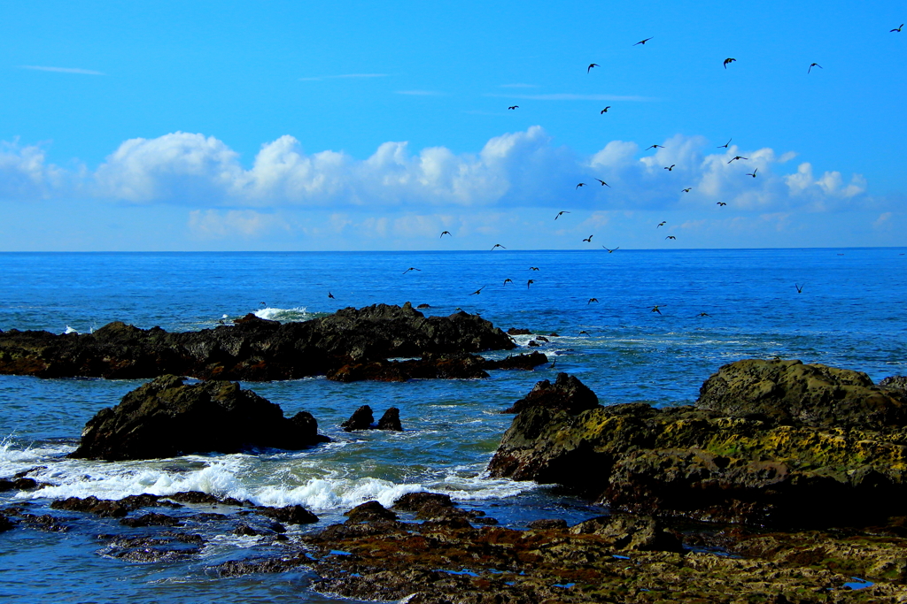 潮騒の海