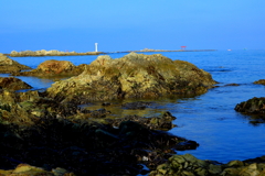 佳景