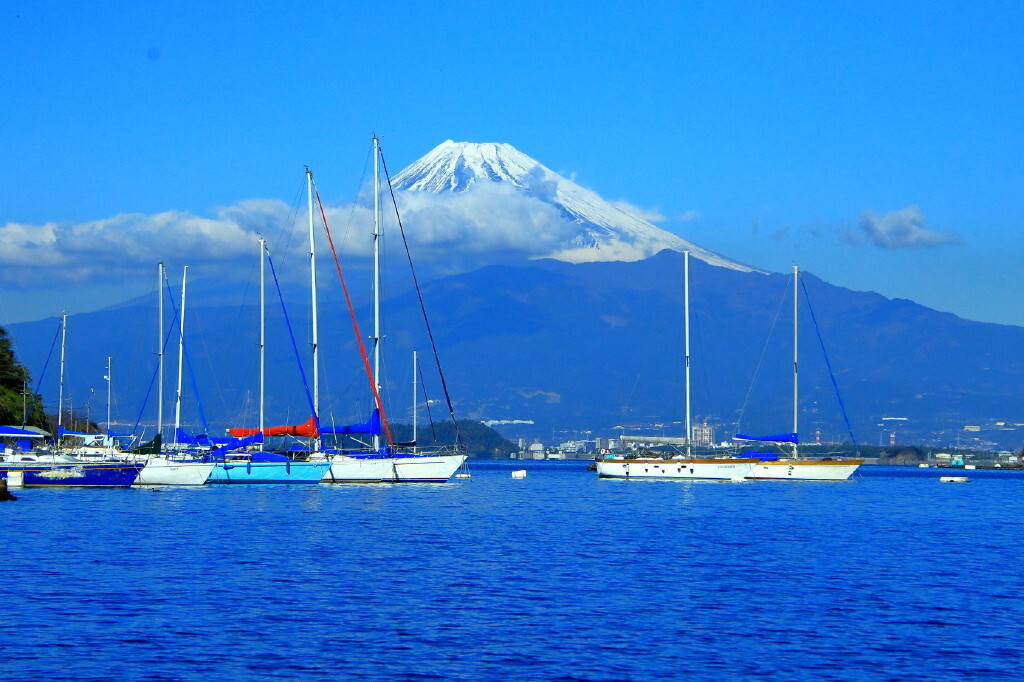 穏やかな海