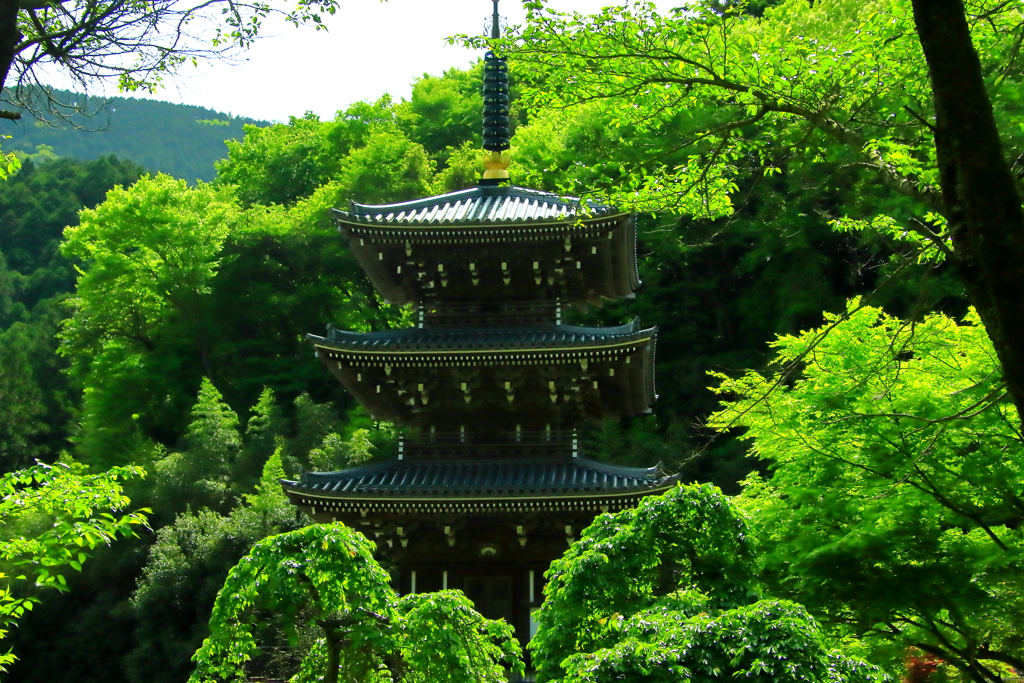 新緑の塔