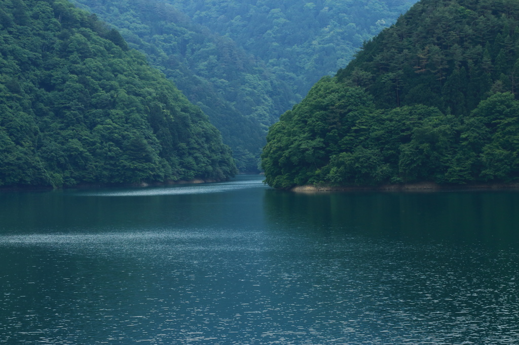 新緑の湖畔