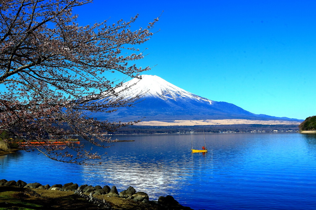 湖畔の春