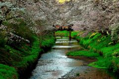 川添の春
