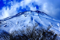 華麗なる景色