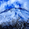 華麗なる景色