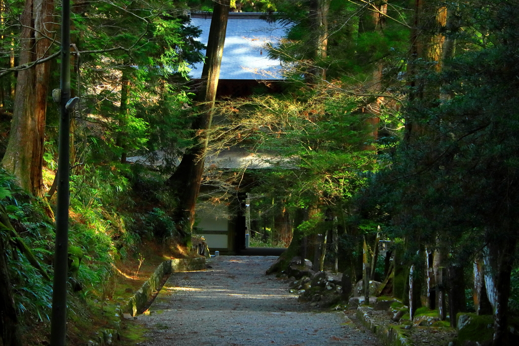 静かな参道