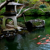庭園