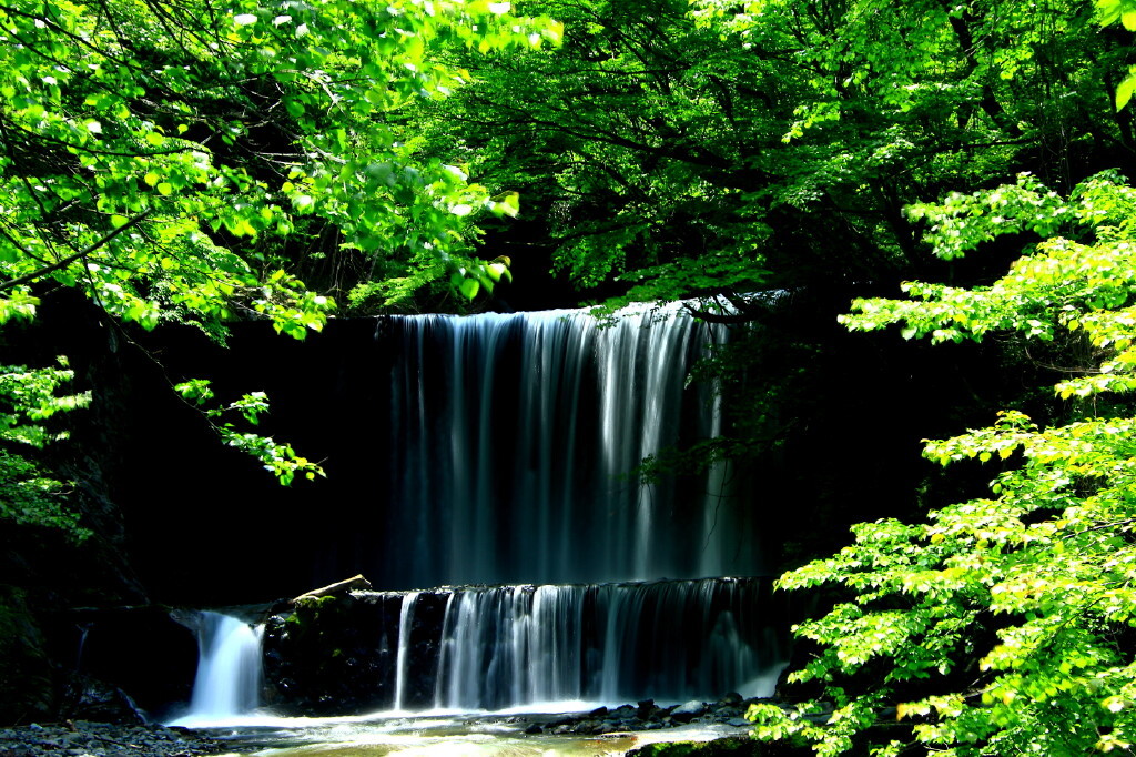 緑陰の流水