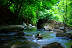 渓流の調べ