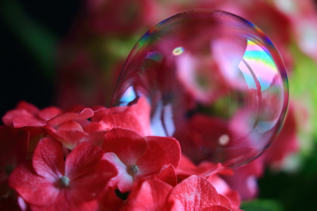 華の珠