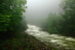 雨の渓流