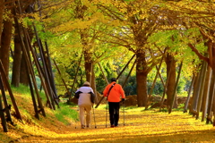 晩秋の友