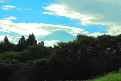 緑陰の景