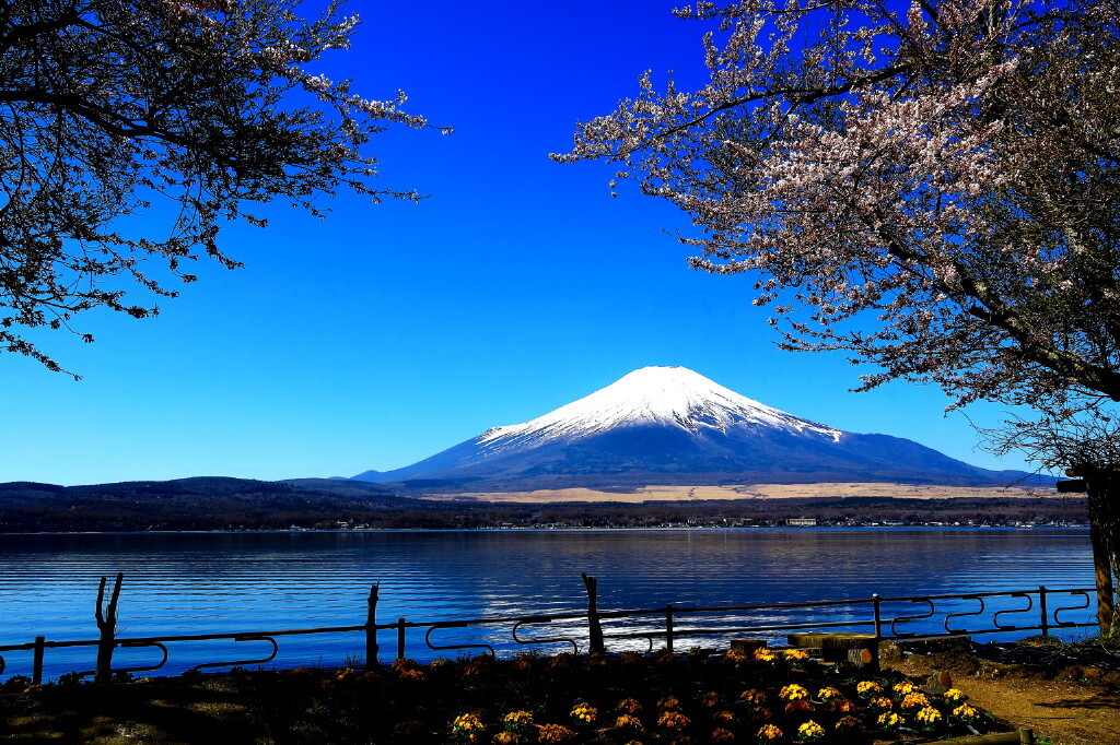 朝の湖畔