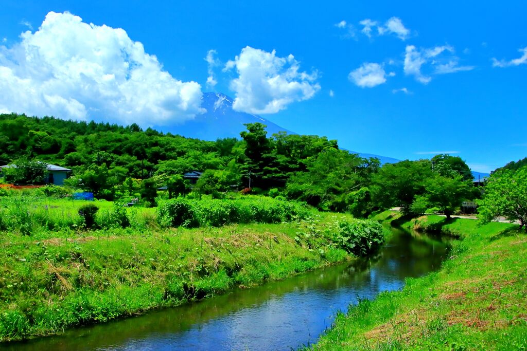 癒しの景色