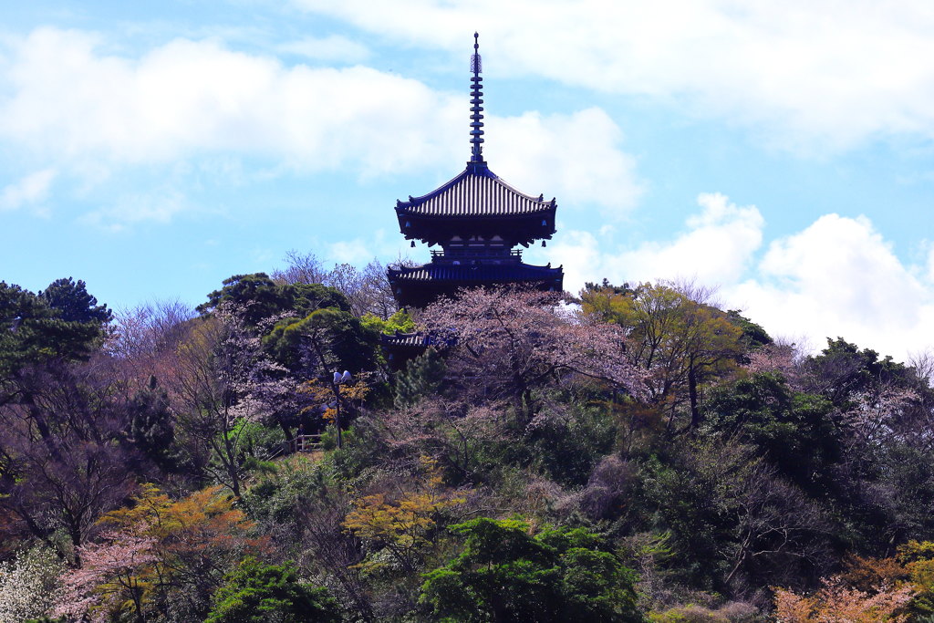 和の情景