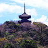 和の情景