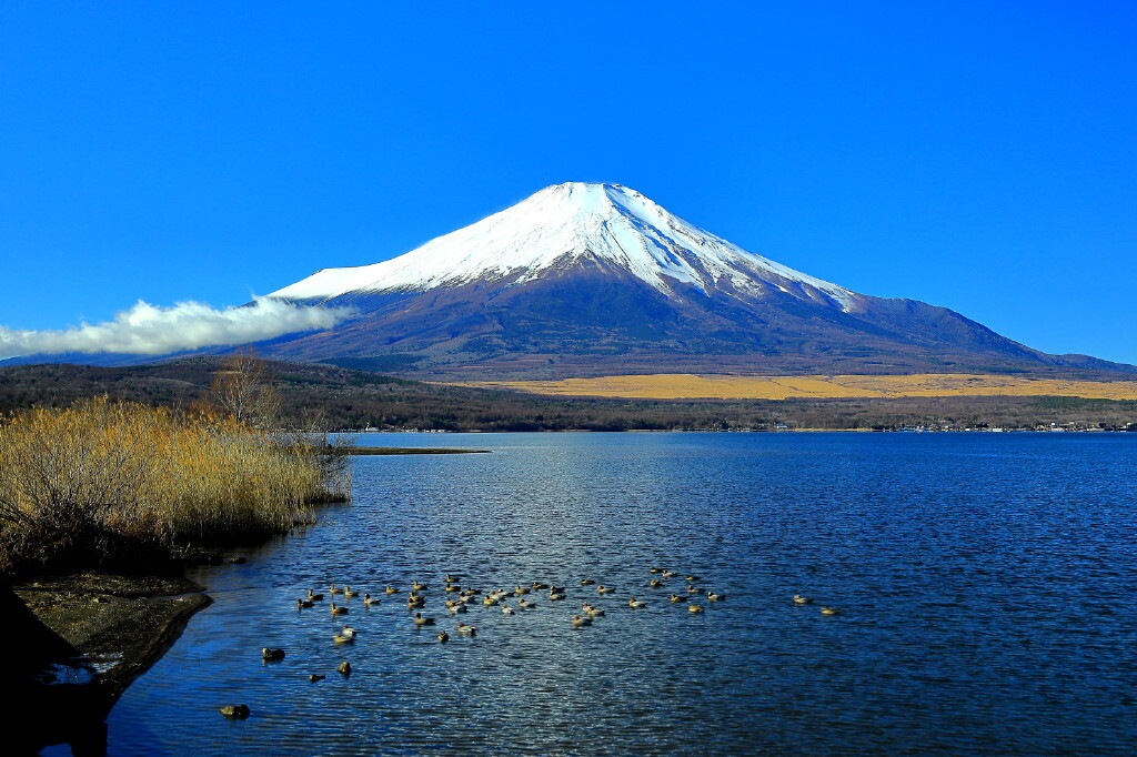 静かな湖畔