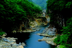 緑陰の清流