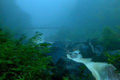 雨の渓流