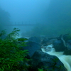 雨の渓流