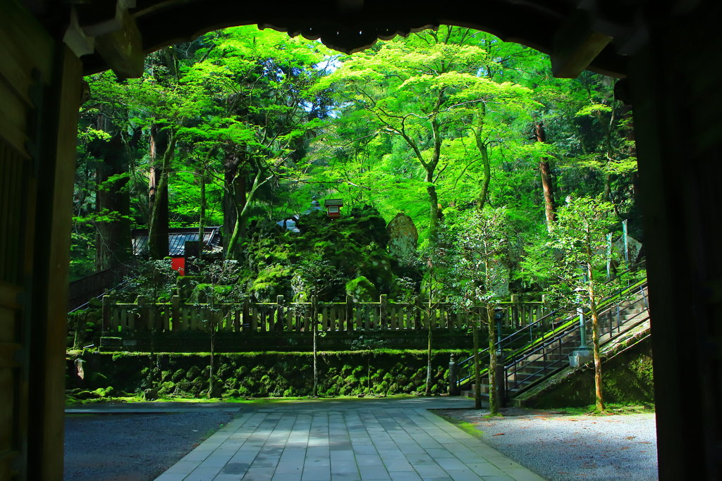 癒しの景