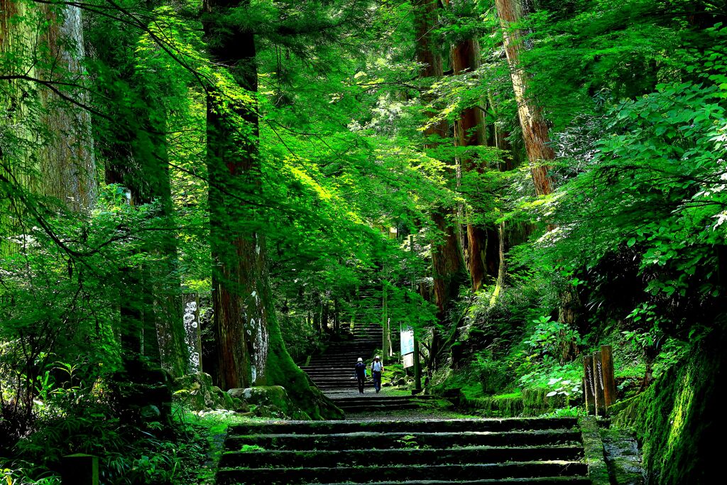 静かな参道