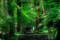 静かな参道