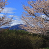 春の訪れ