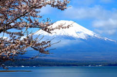 ４月の山中湖畔