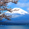 ４月の山中湖畔