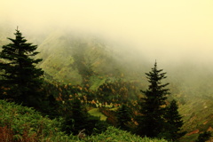 霧の高原